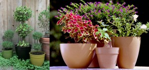 Piante-in-vasi-naturali-Vipot-Decor