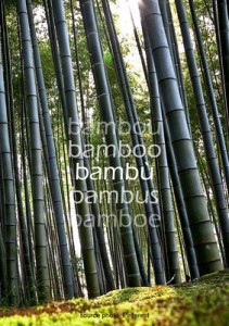 bambu bamboo bambus