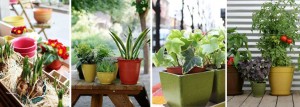 vasi-vipot-porta-piante
